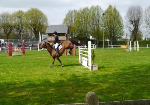 Gite des papillons, Show Jumping, horses, cross country